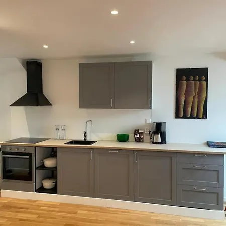 Apartament The Green House - In The Centre Of