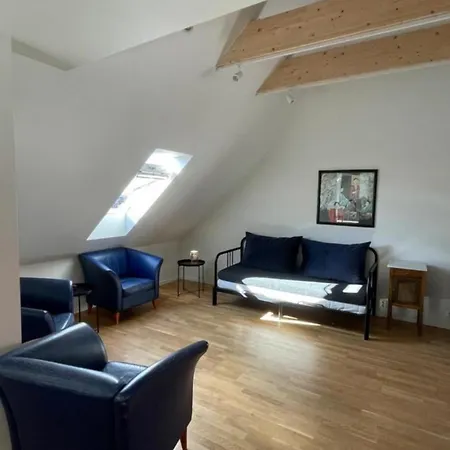 The Green House - In The Centre Of Apartment